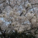 お久しぶりです。