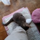 あ”ぁ”～悩むんじゃい。