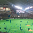 野球観戦