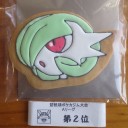 第５５回琵琶湖ポケカジム、悪と菩薩と