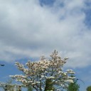 幸せな時間　2016.4