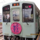 旅行3日目　①　根尾谷薄墨桜