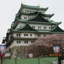 旅行3日目　②名古屋城・造幣局桜の通り抜け