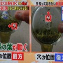 急須で美味しいお茶を飲めるには・・・