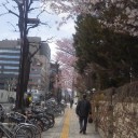花見日和♪