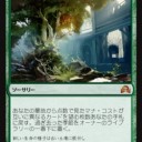 プロツアー終わったから・・・。