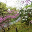 旅行5日目　①天龍寺