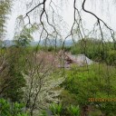 旅行5日目　①天龍寺