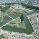 そうだ ! !  地元の桜を観に行こう