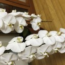 ♡報告（最新体重も）♡
