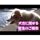 １５・・・