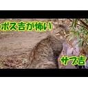 いぬもねこも・・・・