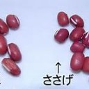 エルさんについて…（グチめものみ。）