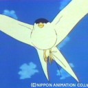 テキィもあじさしだった