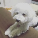 ずっとね