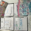カメックスメガバトルin千葉大会 レポート
