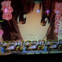 貴重なぴちぴち作戦が