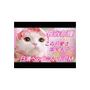 ねこまきまき・・・・
