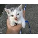 さんおくえん・・・・