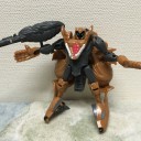 けっこうグロい…