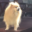 モフ神様
