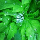 6月20日の日記