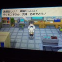 心の中に空いた穴を埋めて行くのがポケモン図鑑