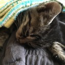 なんか休みないんだけど