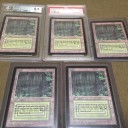 今日のGet品