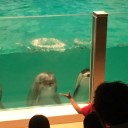 浅虫水族館と三内丸山遺跡