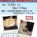 黒のエンチャントで寄付すべきものって、そういえばコイツのこと忘れてたはｗｗｗｗｗｗｗｗｗｗｗｗｗｗｗｗｗｗｗｗｗｗｗｗｗｗｗｗｗｗｗｗｗｗｗｗｗｗｗｗｗｗｗｗｗ