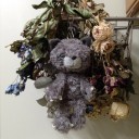 猫がいない生活１６日目　“もう無理かなと退職を考える”編