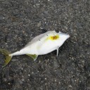 ちょっと