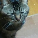 違う