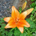 7月15日の日記