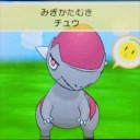 はじめての国際孵化