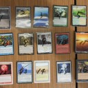 87th Fukuoka Premium Legacy結果報告