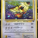 #1775 ポケモンカードの今昔No.18
