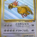 #1779 ポケモンカードの今昔No.22