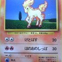 #1834 ポケモンカードの今昔No.77