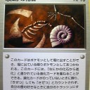#1901 ポケモンカードの今昔No.142-1