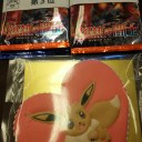 琵琶湖ポケカジムタッグバトル 入賞さして頂きました♪