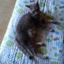 お墓参りしてきました。