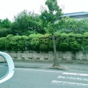 　連休最終日