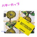 石鹸あれこれ
