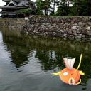シナノのアツイ彗星