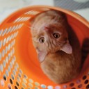 お手並み拝見、ってところです！