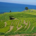 弾丸トラベル 能登・金沢の旅 その１