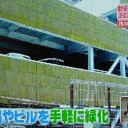 苔ビジネスだけで年商２億円！