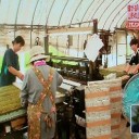 苔ビジネスだけで年商２億円！